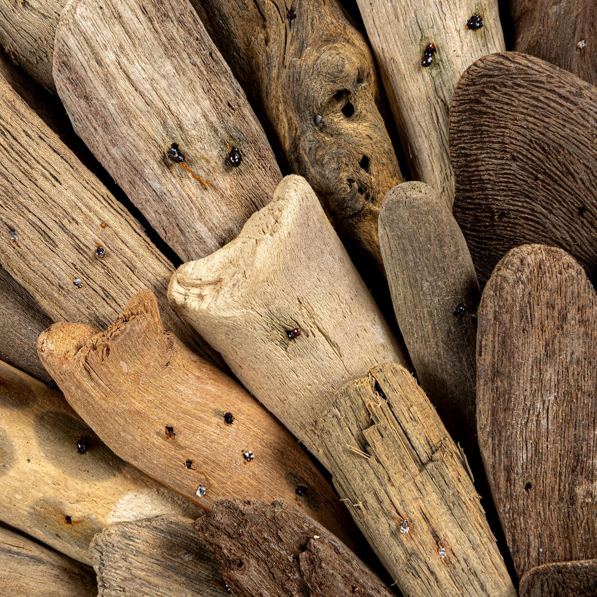 Creative Co-Op Round Driftwood Wall Décor