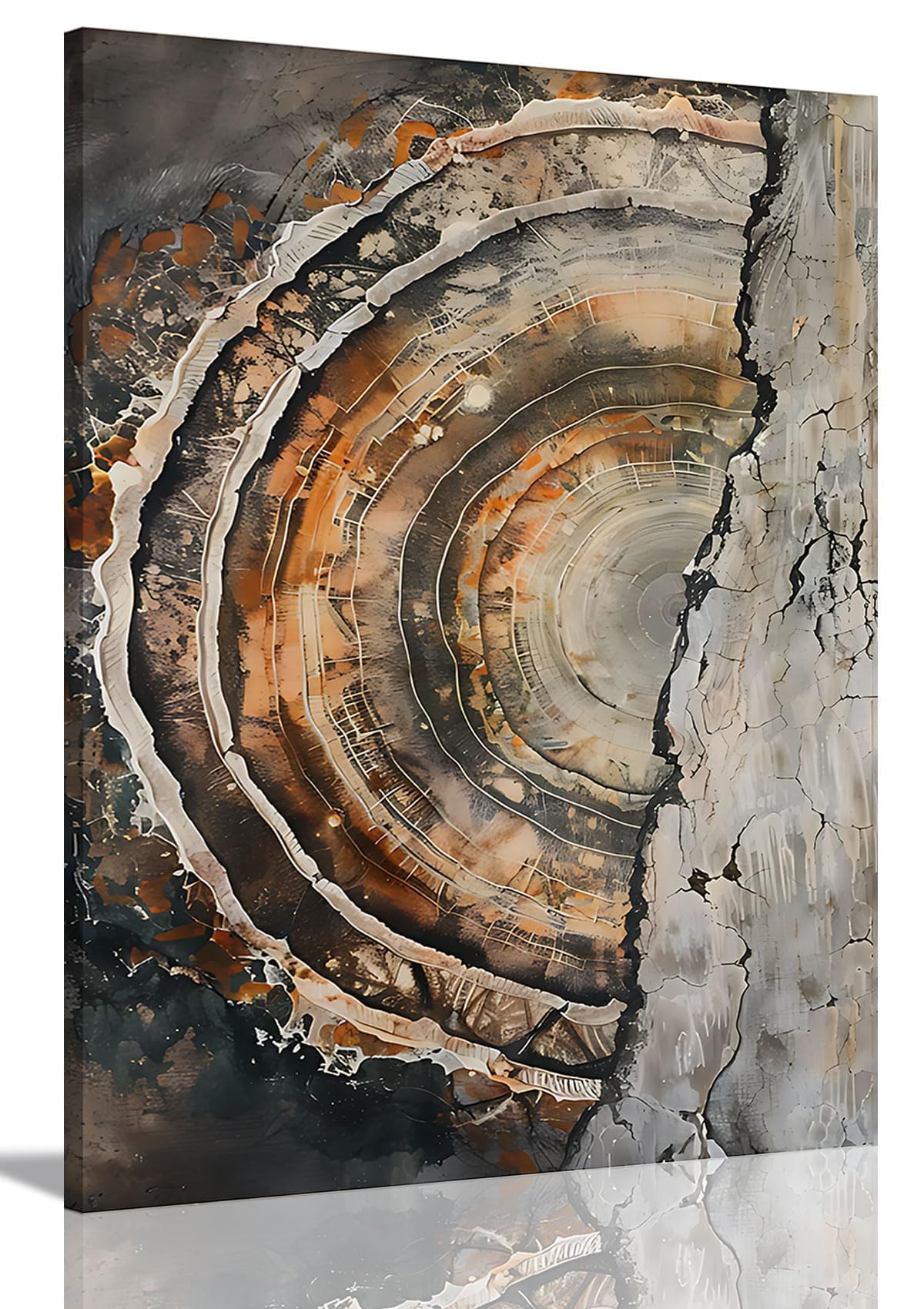 Tree Ring Wall Art Framed, Modern Nature Decor, Easy to Hang 12x16 Inch | The Art of Nature's Timeline,Affordable & High quality,Perfect for your Living Room,Bedroom,Bathroom & Office