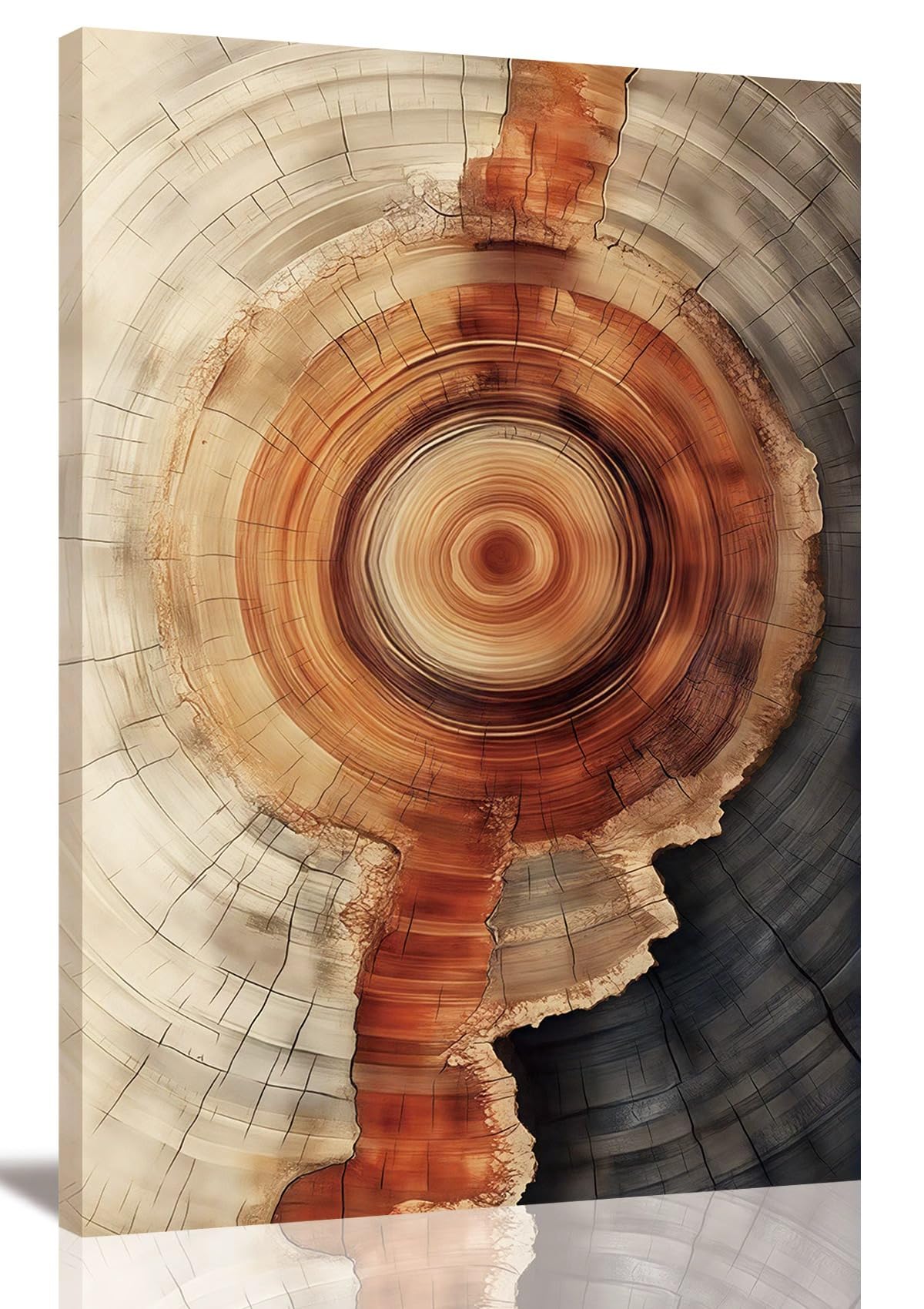 Tree Ring Wall Art Framed, Modern Nature Decor, Easy to Hang 12x16 Inch | The Art of Nature's Timeline,Affordable & High quality,Perfect for your Living Room,Bedroom,Bathroom & Office