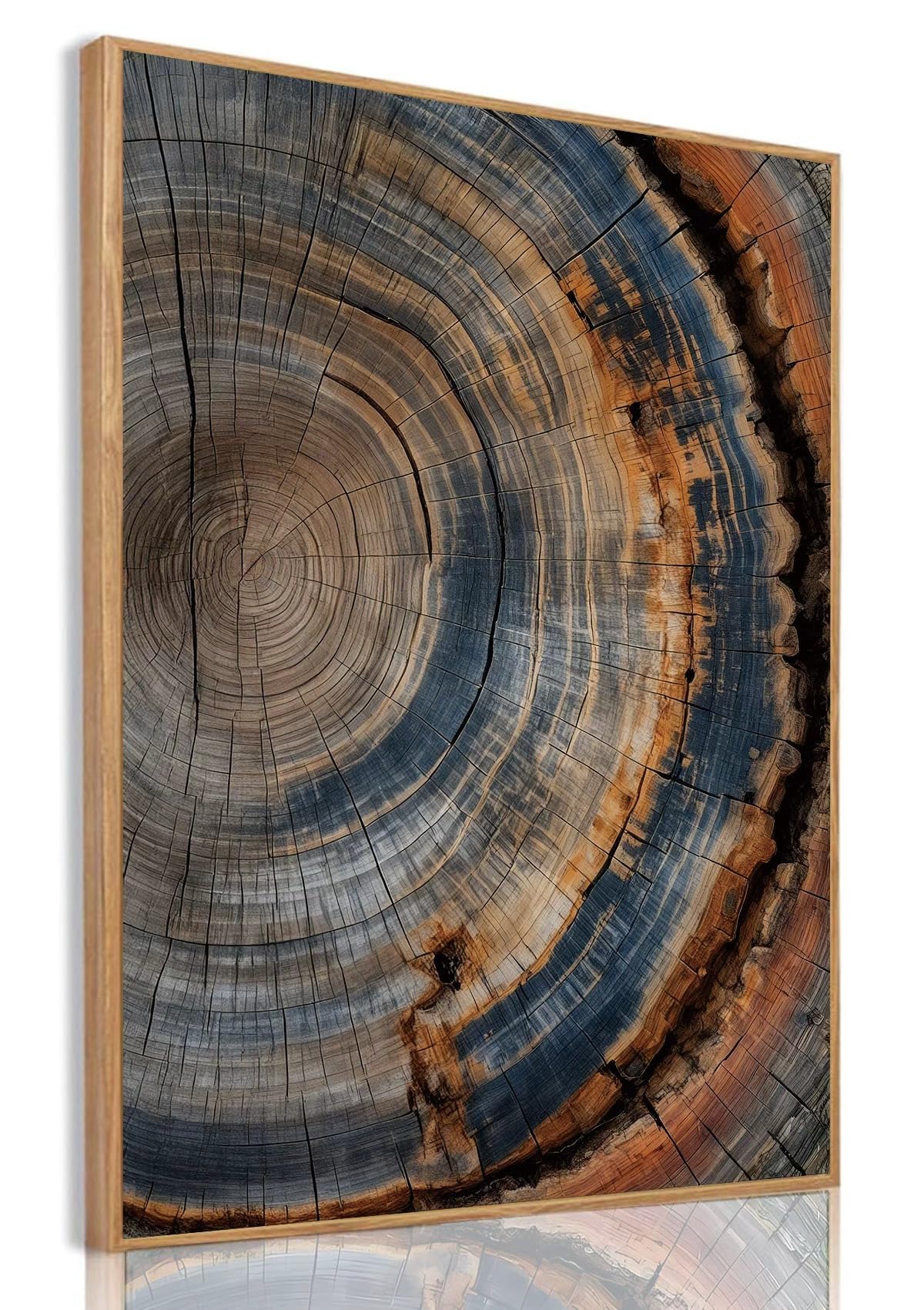 Tree Ring Wall Art Framed, Modern Nature Decor, Easy to Hang 12x16 Inch | The Art of Nature's Timeline,Affordable & High quality,Perfect for your Living Room,Bedroom,Bathroom & Office