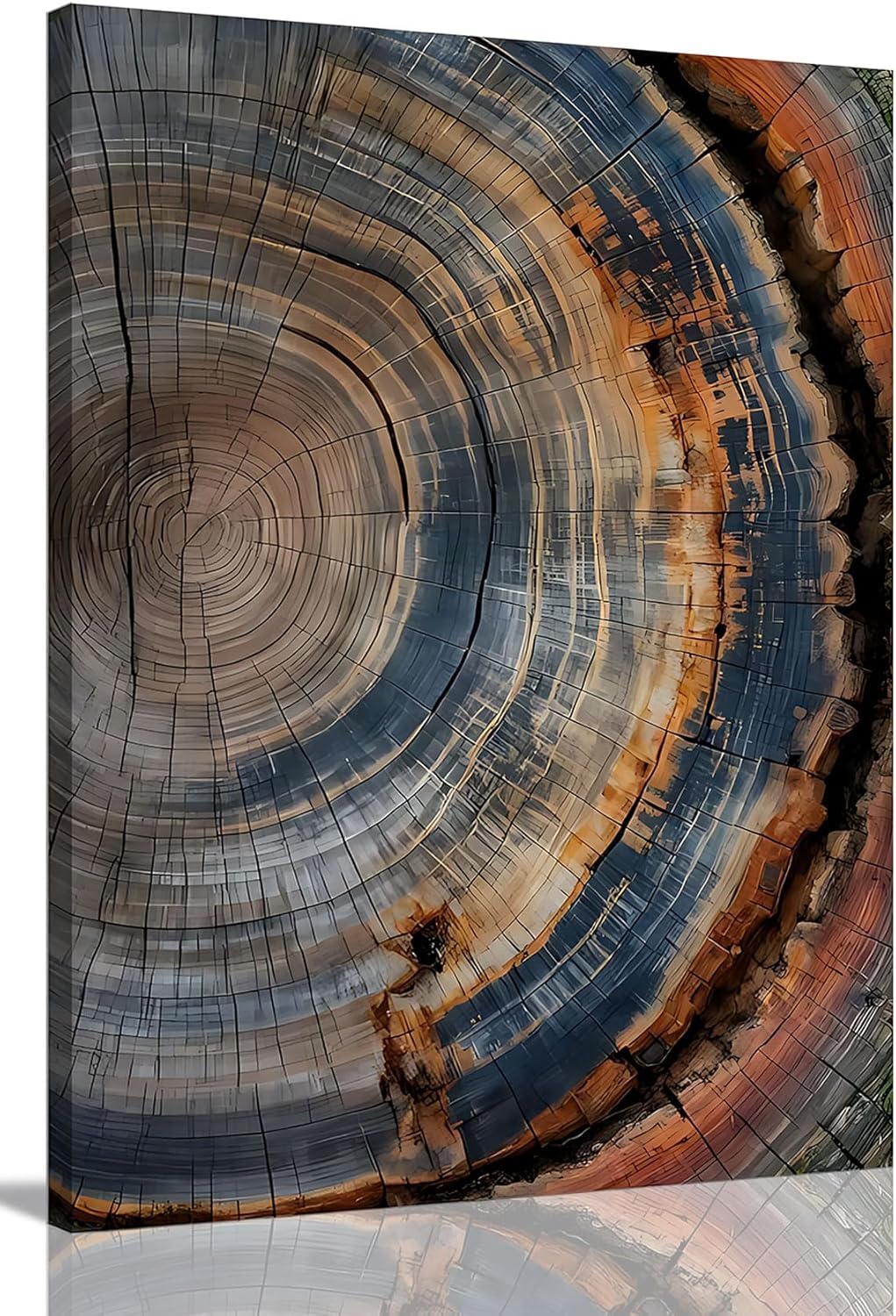 Tree Ring Wall Art Framed, Modern Nature Decor, Easy to Hang 12x16 Inch | The Art of Nature's Timeline,Affordable & High quality,Perfect for your Living Room,Bedroom,Bathroom & Office
